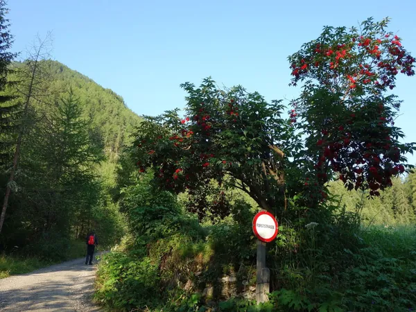 von Losach Aufstieg Richtung Wetterkreuz