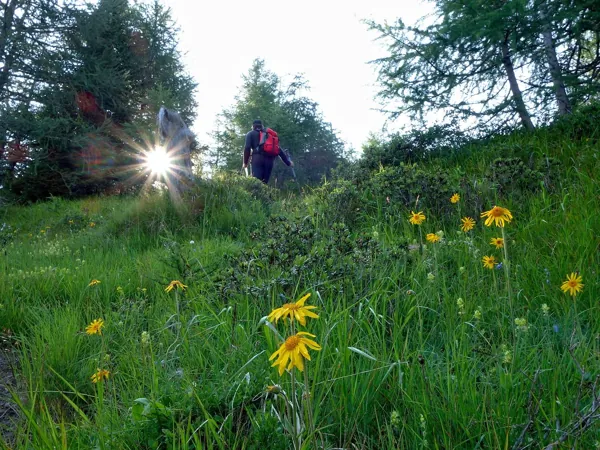 von Losach Aufstieg Richtung Wetterkreuz