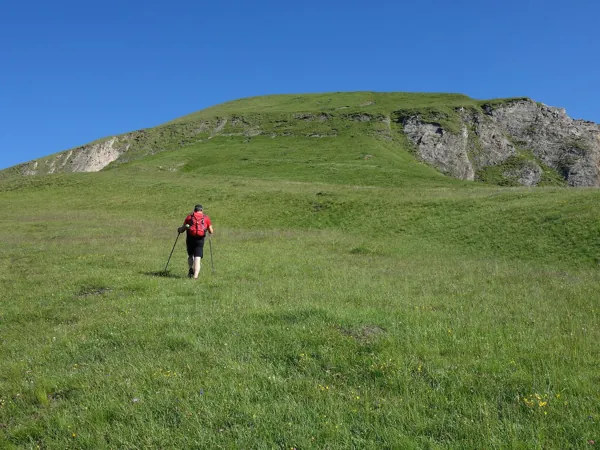 vom Falkenstein Aufstieg Richtung Bunzkögele in der Bildmitte