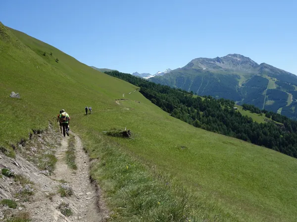von der Äußeren Steiner Alm zurück zum Ausgangsort über die Edelweißwiese