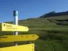 beim Grei Bühel hinten rechts das Figerhorn
