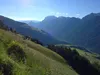 von Kobreil Auftstieg zum Finsterkofel über Forstweg Blick Richtung Lienzer Dolomiten