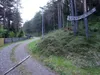 entlang Rodelbahn