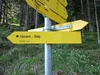 entlang Rodelbahn
