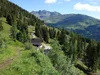 bei der Naturfreundehütte hinten Mitte der Mulleter Seichenkopf