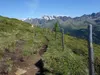 von der Naturfreundehütte zur Bergstation Faschingalm hinten Perschitzkopf und Petzeck