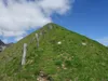 die letzten Meter