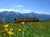 Abstieg Richtung Parkplatz Faschingalm bei der Stieralm hinten Lienzer Dolomiten