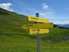 Abstieg Richtung Parkplatz Faschingalm