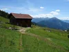 Abstieg Richtung Parkplatz Faschingalm bei Raderalm