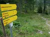 vom Sadnighaus Richtung Sadnigscharte
