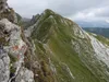 vom Hirtenkopf Richtung Striedenkopf hinten in der Mitte