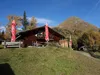 Wodenalm mit dem Tourenziel Hintereggkogel im Hintergrund