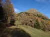 Aufstieg von der Wodenalm zum Hintereggkogel bei den Zedlacher Wiesen