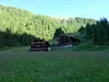 Aufstieg Richtung Schmidhoferalm bei Talethof