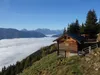 vom Start Richtung Lackneralm Blick Richtung SW hinten die Lienzer Dolomiten