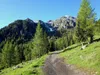 von der Leckfeldalm zum Heimkehrerkreuz