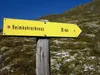 von der Leckfeldalm zum Heimkehrerkreuz