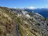 von der Leckfeldalm zum Heimkehrerkreuz