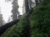 Aufstieg Richtung Wetterkreuz