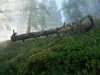 Aufstieg Richtung Wetterkreuz