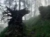 Aufstieg Richtung Wetterkreuz