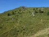 vom Wetterkreuz zum Gipfel Langschneid hinten Bildmitte