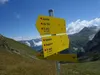 vom Gipfel Langschneid Abstieg zur Bruggeralm bei der Ragötzalm