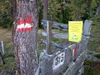 Aufstieg Richtung Ochsnerhütte