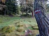 Aufstieg Richtung Ochsnerhütte