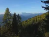 Aufstieg Richtung Ochsnerhütte Blick Richtung SW hinten Karnische Alpen