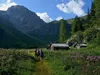 Aufstieg zur Obstanser Seehütte am Obstanser Boden hinten links Roßkopf