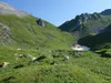 von der Oberen Spielbodenalm zum Spielbodentörl in der Bildmitte