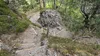Abstieg ueber Goggsteig