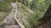 Abstieg ueber Goggsteig