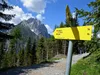 bei Wiesenhütte Wegweiser Richtung Amlach hinten Spitzkofel