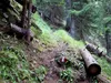 von der Brunnalm Richtung Unterarnalm