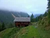 bei Unterarnalm
