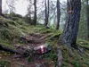 von der Unterarnalm Richtung Oberarnalm