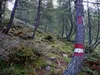 von Oberarnalm Richtung Gipfel Regenstein