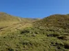 von Oberarnalm Richtung Gipfel Regenstein in der Bildmitte
