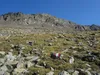 von Oberarnalm Richtung Gipfel Regenstein in der Bildmitte