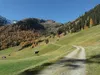 von Unterstaller bis zum Schwarzsee