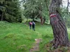 Aufstieg Richtung Ochsnerhütte