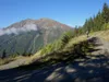 vom Hof Rubisoi Richtung Lesachriegelhütte hinten links Rotenkogel