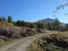 vom Hof Rubisoi Richtung Lesachriegelhütte hinten rechts das Tourenziel Schönleitenspitze