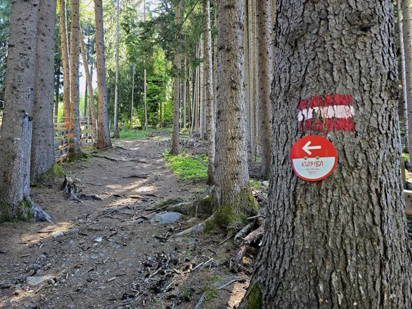 Auftstieg zum Speicherteich Taxermoos
