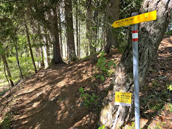 Abstieg Richtung Schloß Bruck über Moos Alm Steig