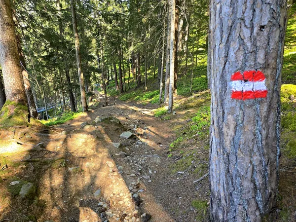 Abstieg Richtung Schloß Bruck über Moos Alm Steig