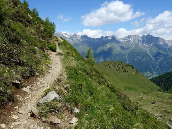 von der Zupalseehütte zum Speikboden